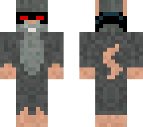 robber rat