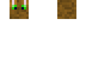 cat head