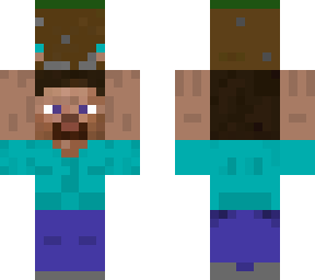 steve carrying dirt block