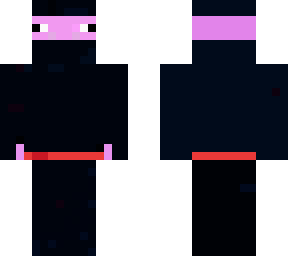 ninja spider pig