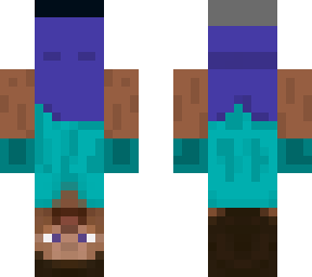 upside down steve