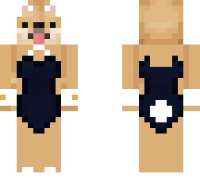 playboydog