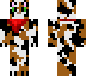 calico cat