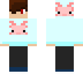 axolotl hood