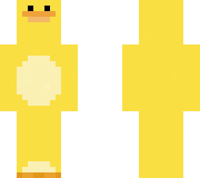 funny looking duck