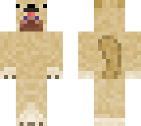 sete-doge