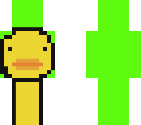 dream duck