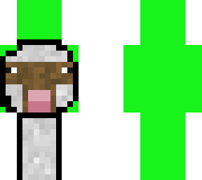 sheep dream