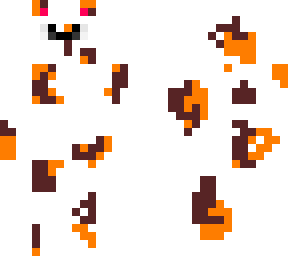 calico cat