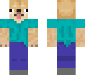 steve doge