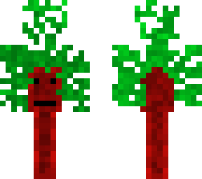a bored tree