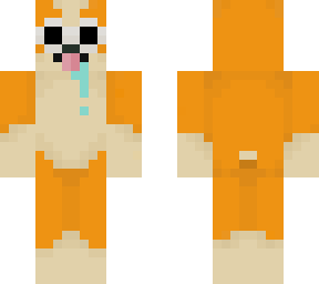 cool and derpy corgi