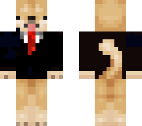 perro 10