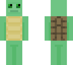 tortuga turtle