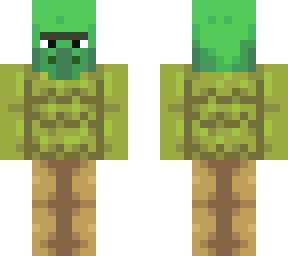 turtle villager