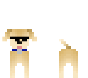 jaxzz the dog