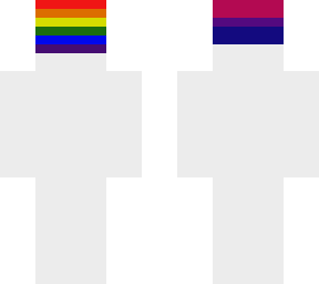 lgbtq+ flags