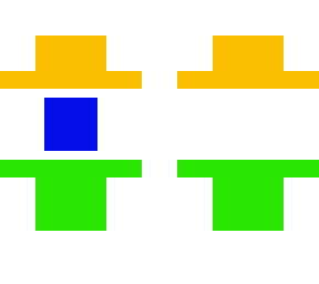 indian flag