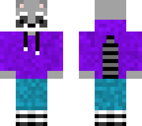 racoon again