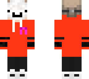 randomguywhogamez new skin