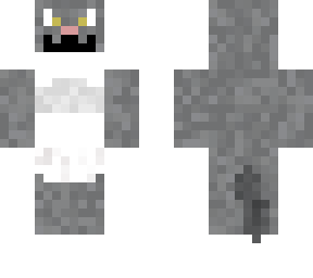 ava the cat