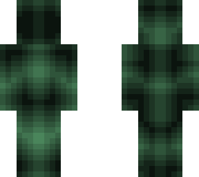 forest floor