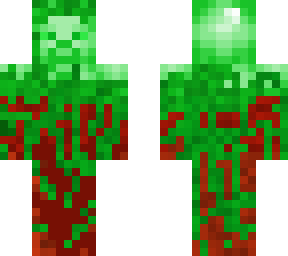 forest steve sl