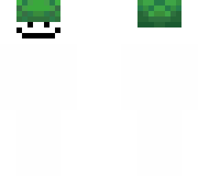 owocastanius turtle