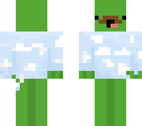 sky shirt turtle