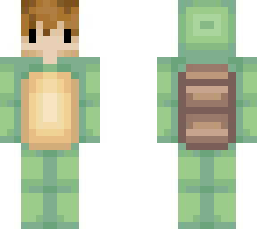 turtle