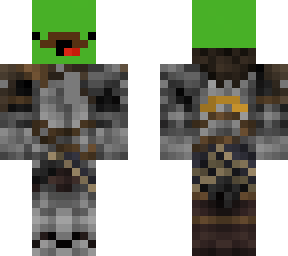 turtle knight