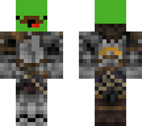 turtle knight