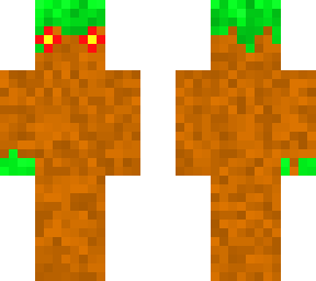 dirt dude