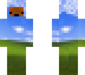 windows xp bear