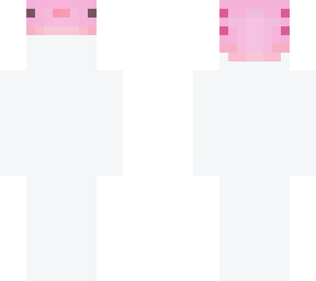 head test template