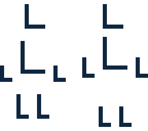 l skin