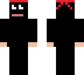 ninja 336
