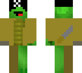pirate turtle