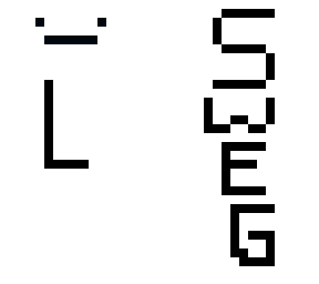 swag skin