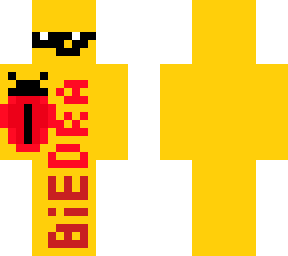 biedronka minecraft skin by imnekko