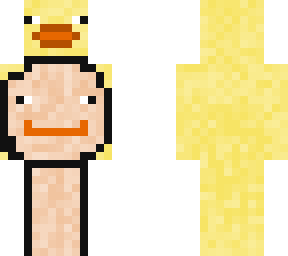 duck dream