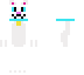 a white cat with a blue collar