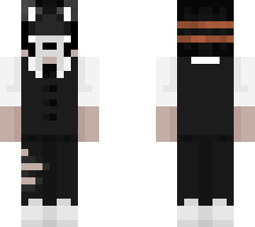 alsator version 2