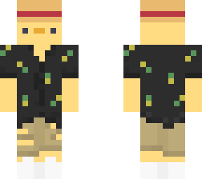 dr minecraft skin (before started streaming)