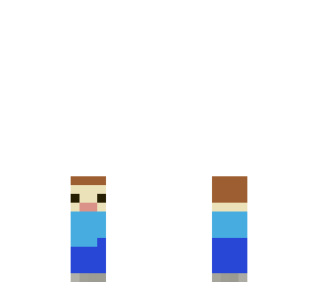 mini steve