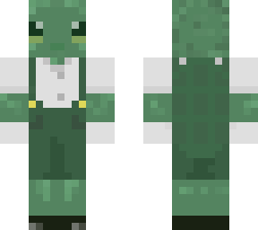 mr. turtle