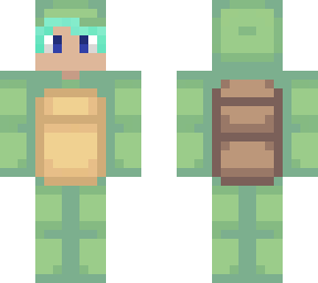 a turtle guy