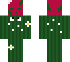 cactus with dragonfruit