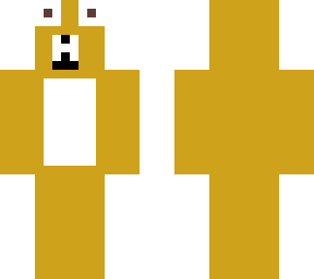 shiba dog
