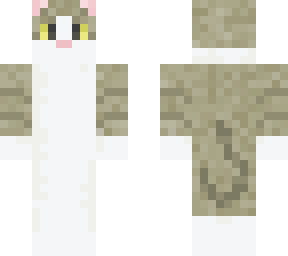 cat skin